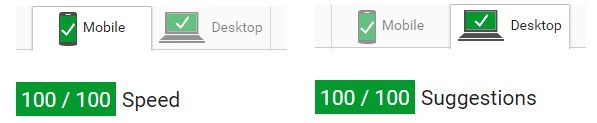 Perfect Pagespeed Score